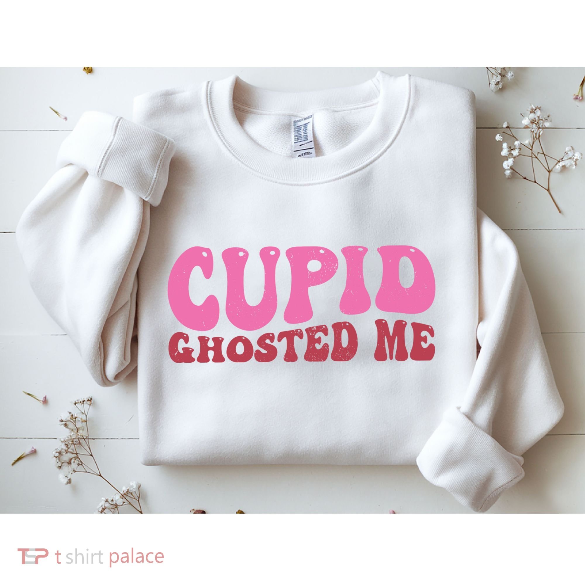 Cupid Ghosted Me Funny Valentines Day Sweatshirt