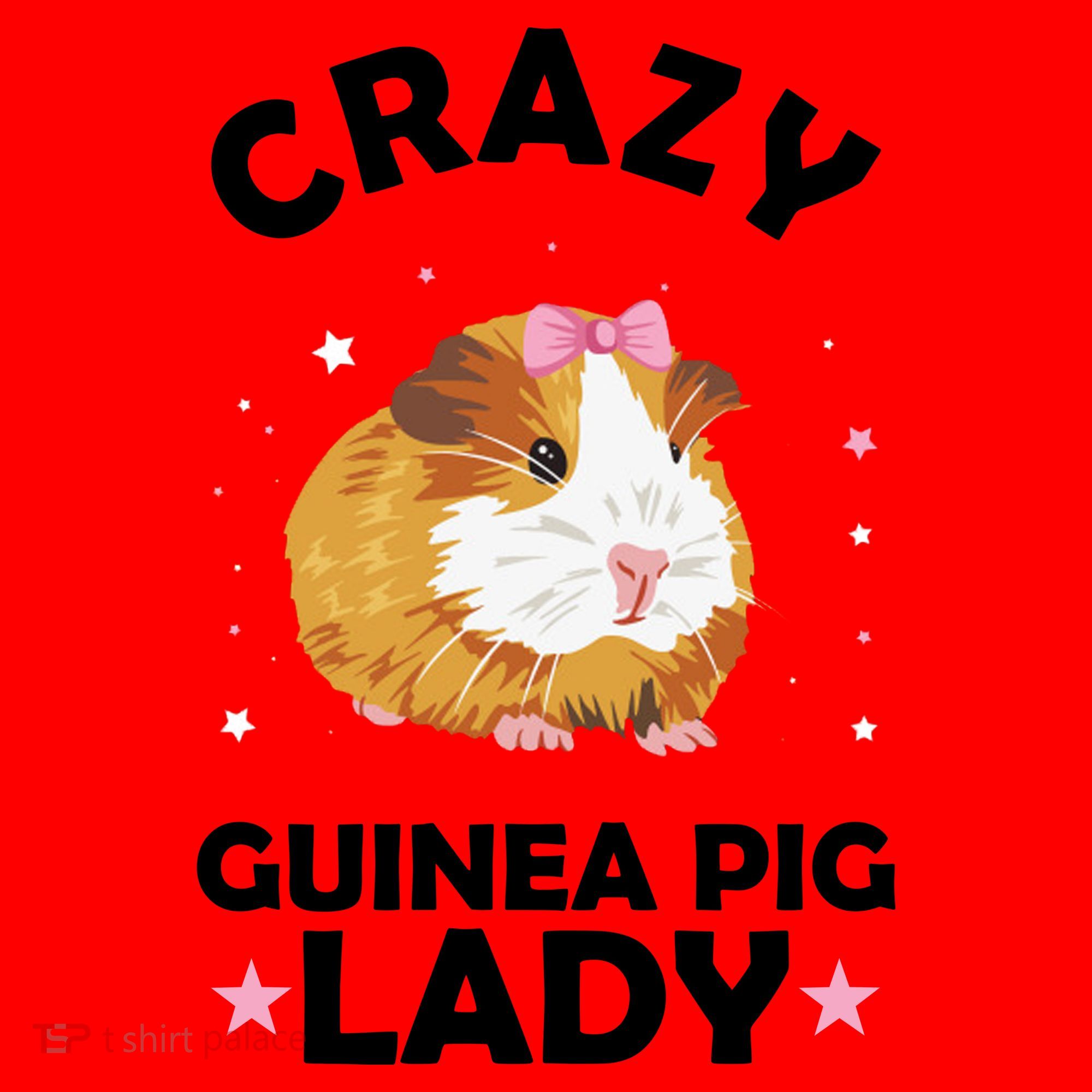 Crazy Guinea Pig Lady Santa Hat