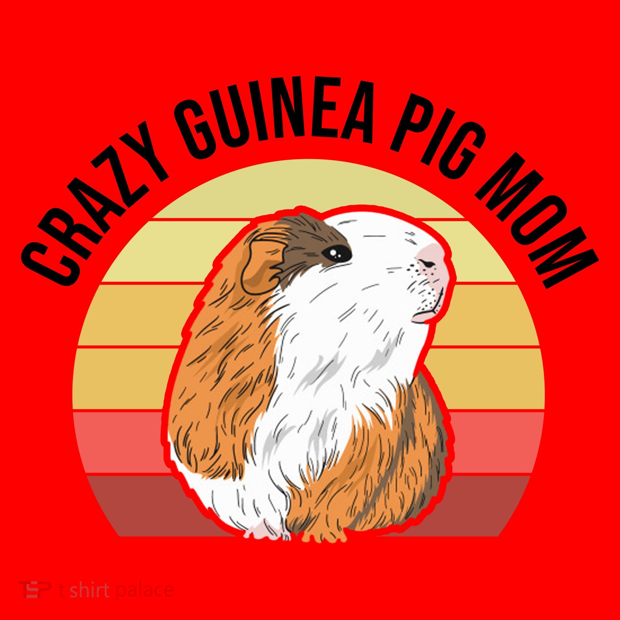 Crazy Guinea Pig Mom Santa Hat