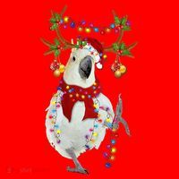 Cockatoo Gorgeous Reindeer Christmas Tree Light Xmas Cute Gift Santa Hat thumb 1