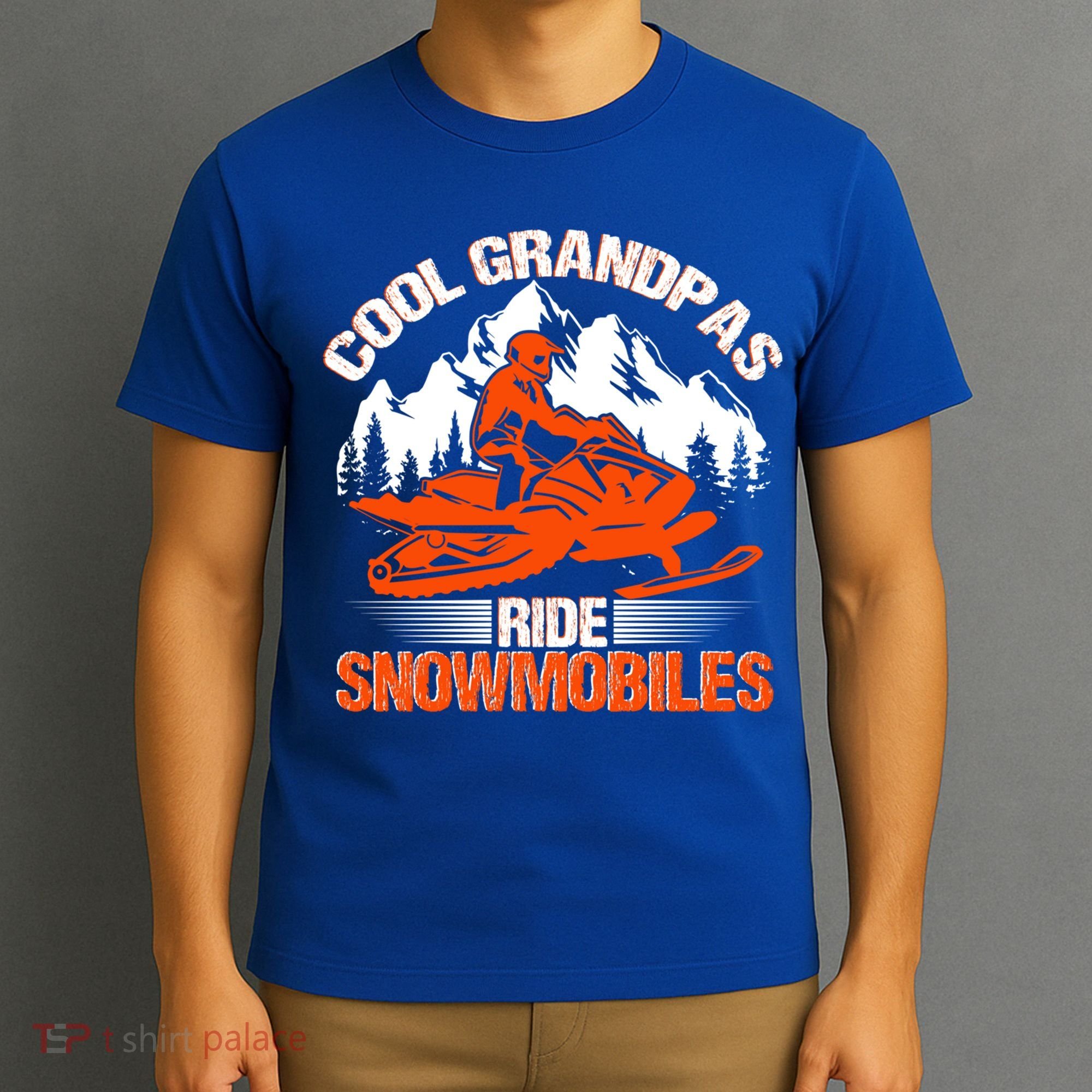 Cool Grandpas Ride Snowmobiles Funny Snowmobile Dad Grandpa Gift T-Shirt