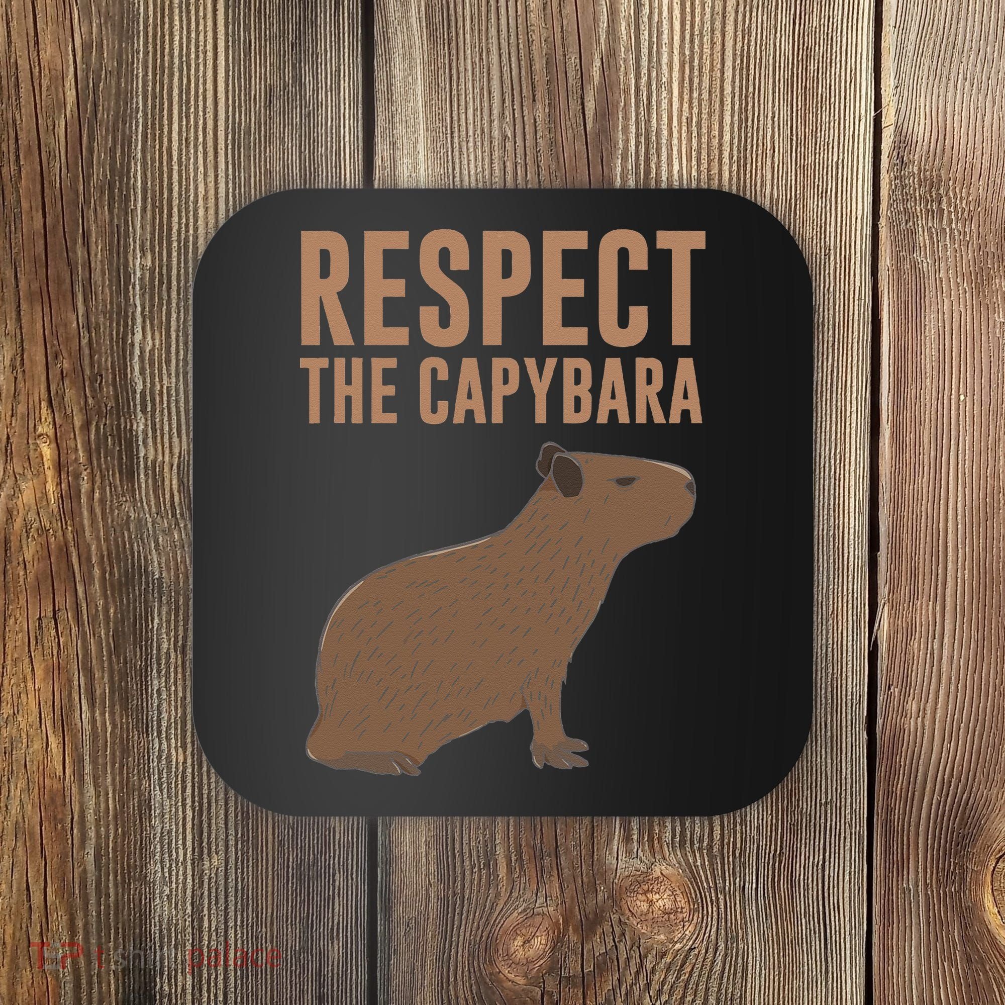 Capybara Gifts Respect The Capybara Cute Animal Coaster