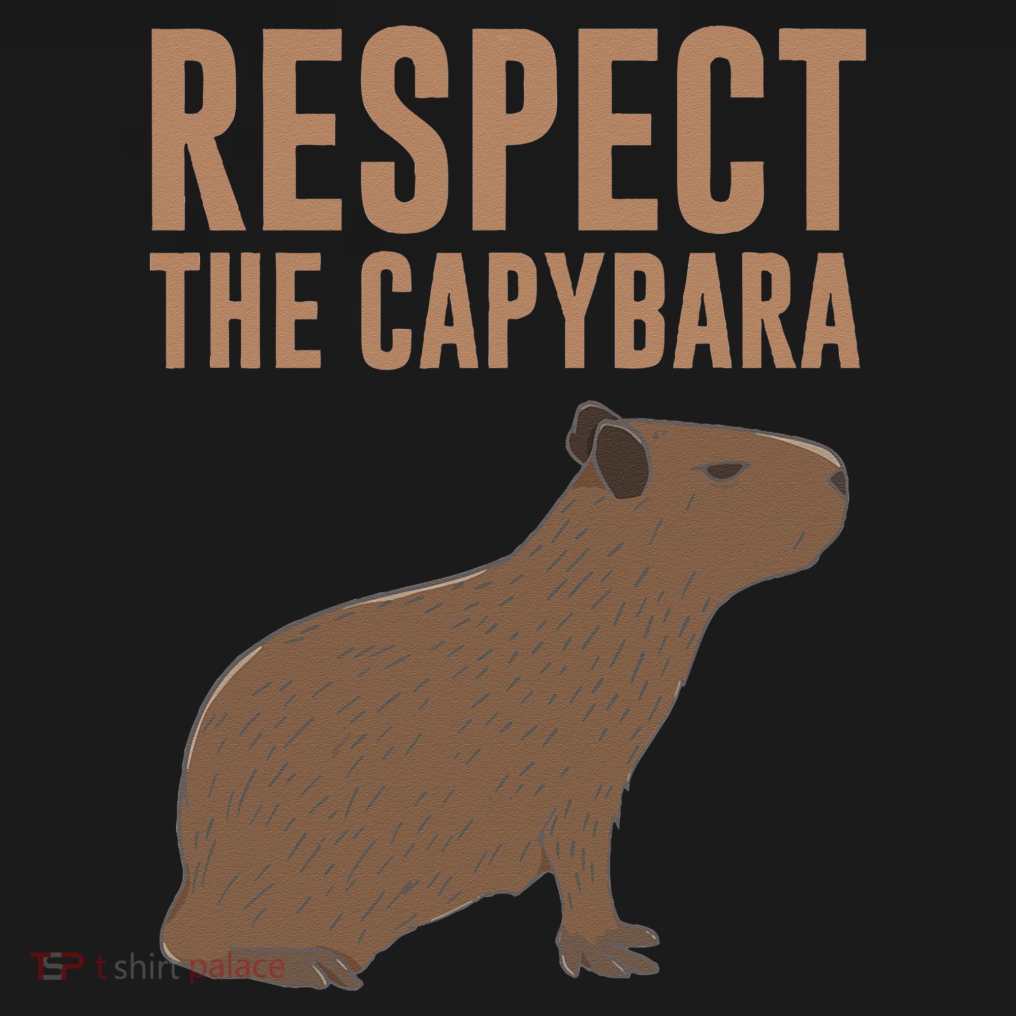 Capybara Gifts Respect The Capybara Cute Animal Women's Hoodie