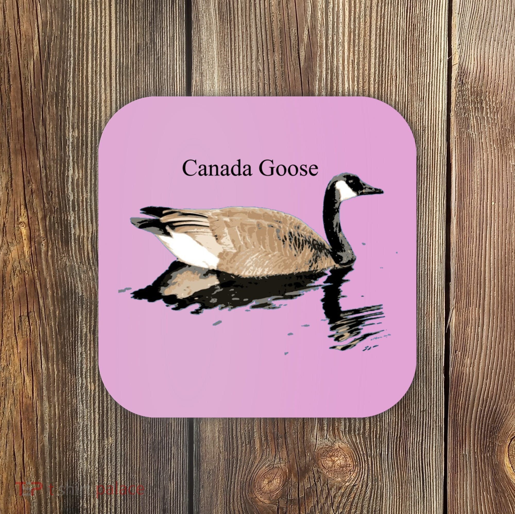 Canada Goose Swimming Gift Waterfowl Lover Coaster