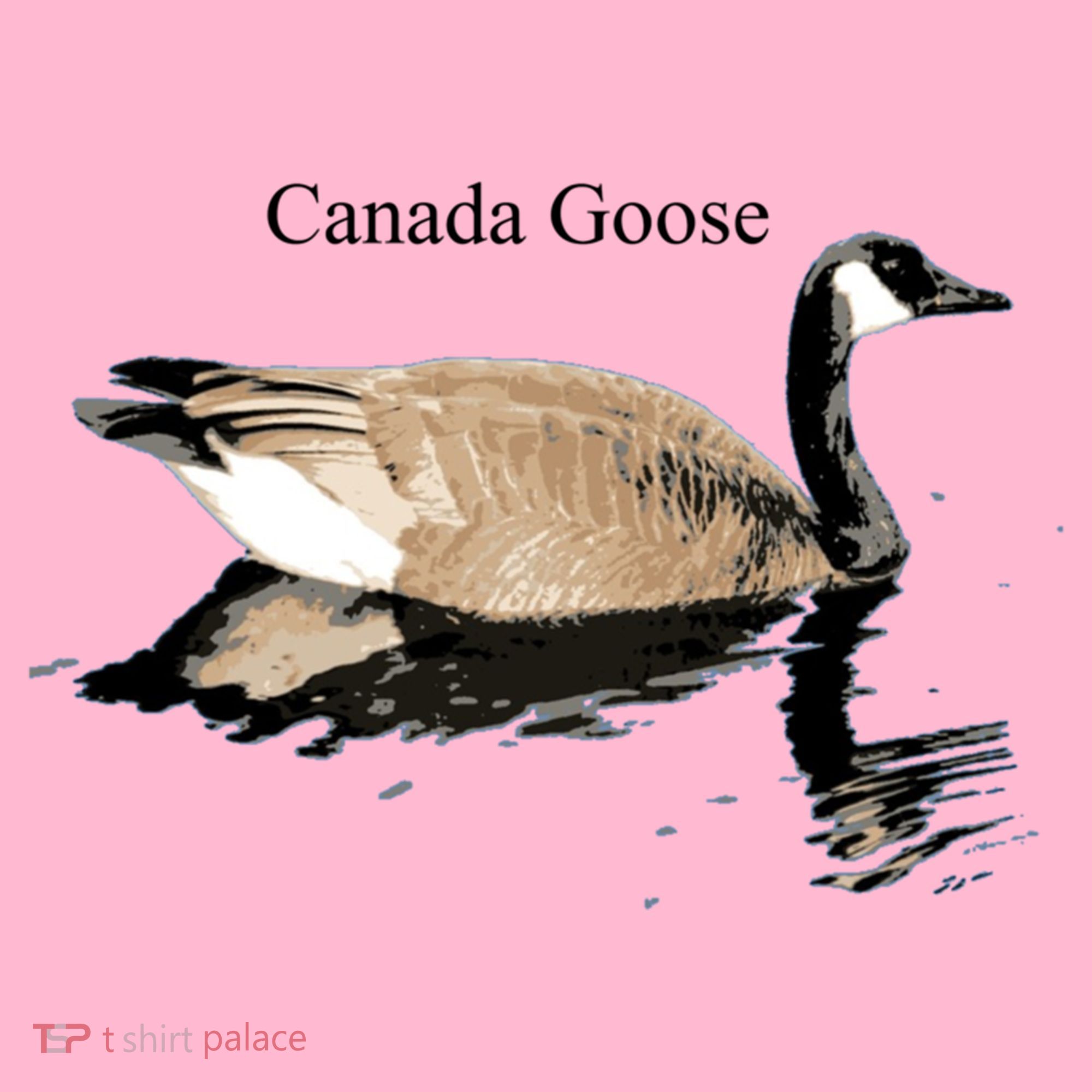 Canada Goose Swimming Gift Waterfowl Lover Coaster