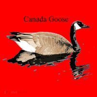 Canada Goose Swimming Gift Waterfowl Lover Santa Hat thumb 1