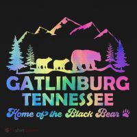 Cute Gatlinburg Tennessee Bear Great Smoky Mountains Tie Dye T-Shirt thumb 7