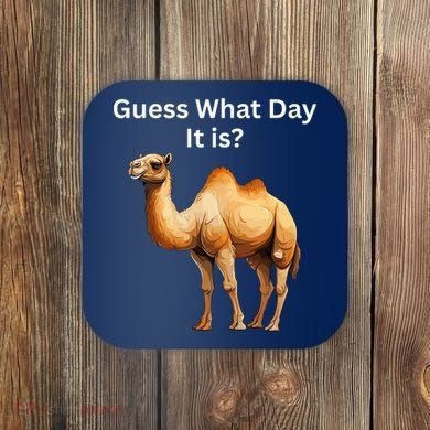Camel Guess What Day It Is Wednesday Hump Day Camel  Coaster