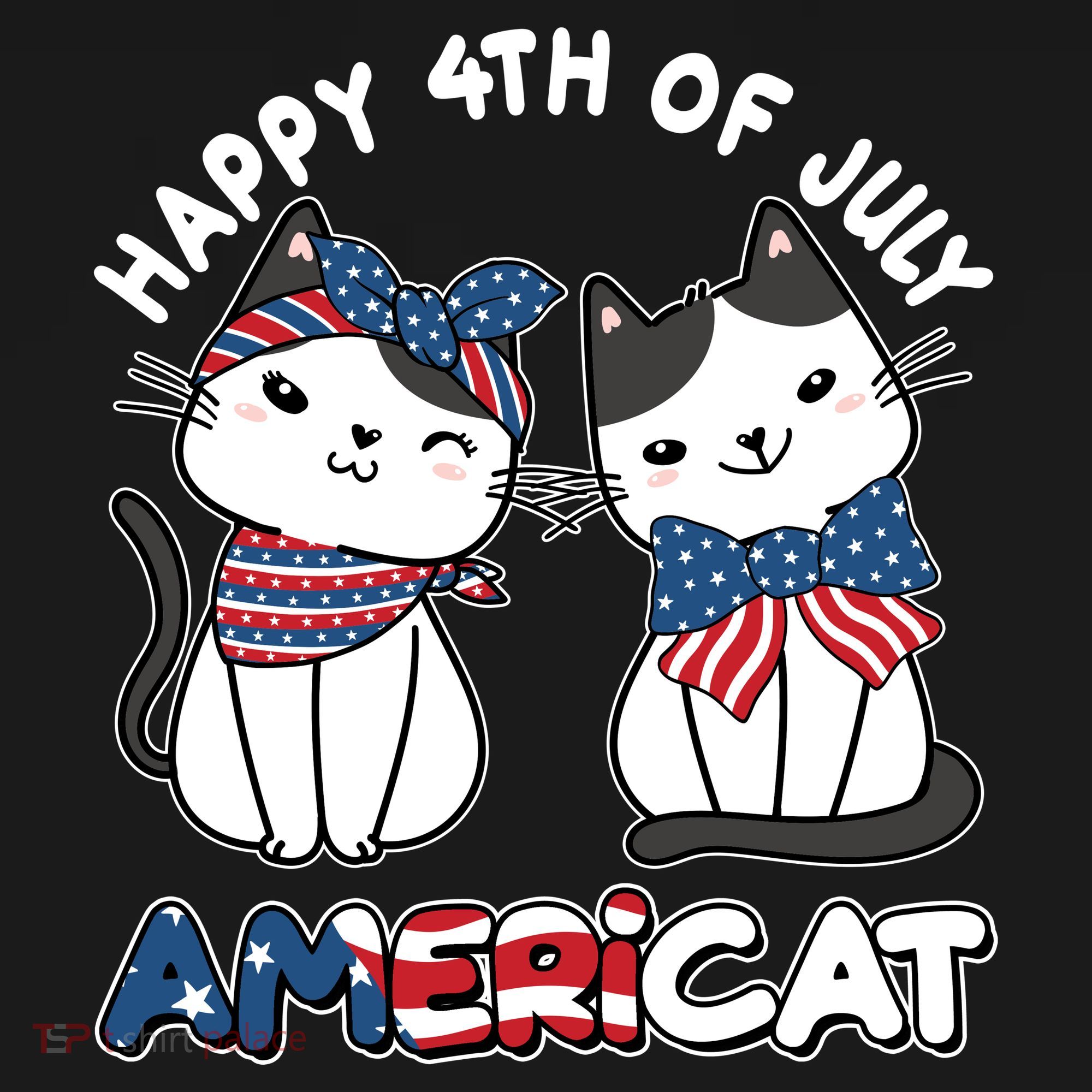 Cute Happy 4th Of July Americat Women's Hoodie