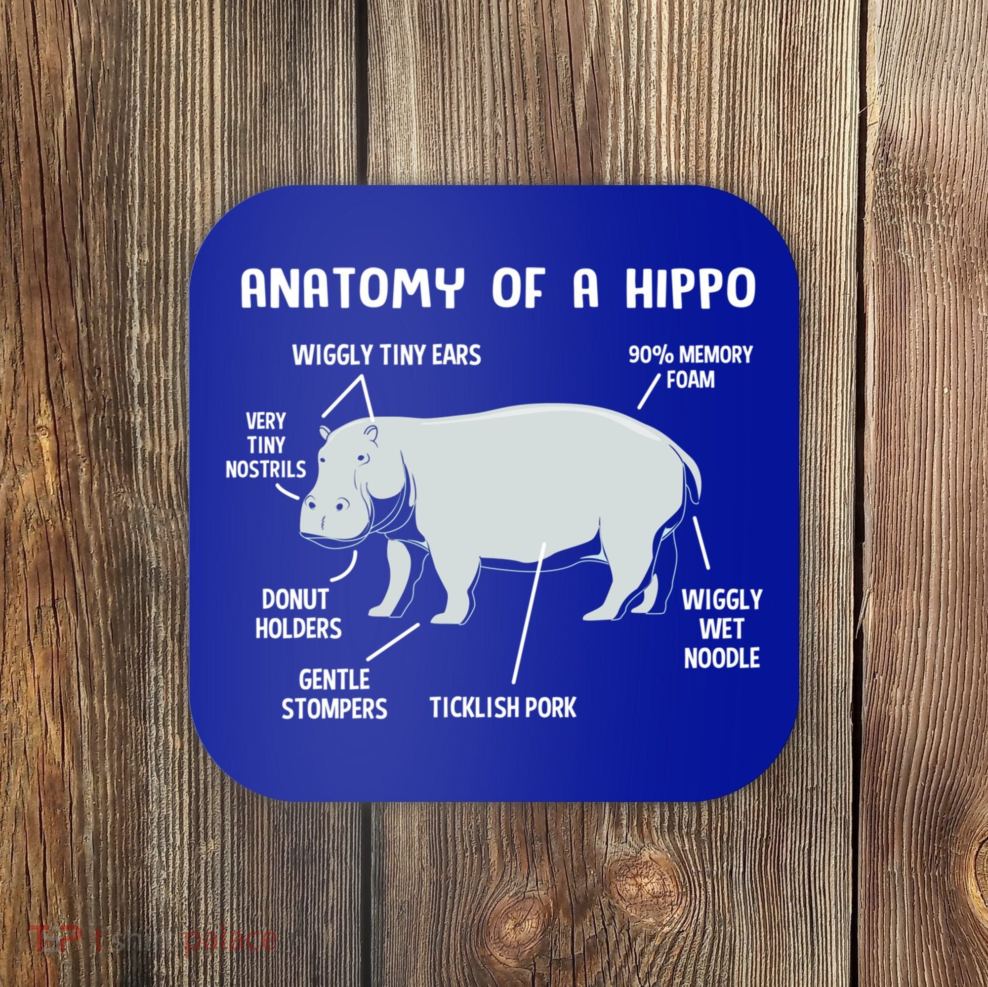 Cute Hippopotamus Anatomy Of A Hippo For Cool Gift Coaster