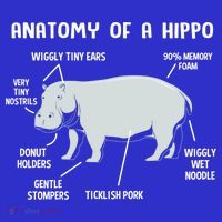 Cute Hippopotamus Anatomy Of A Hippo For Cool Gift Baby Bodysuit thumb 2