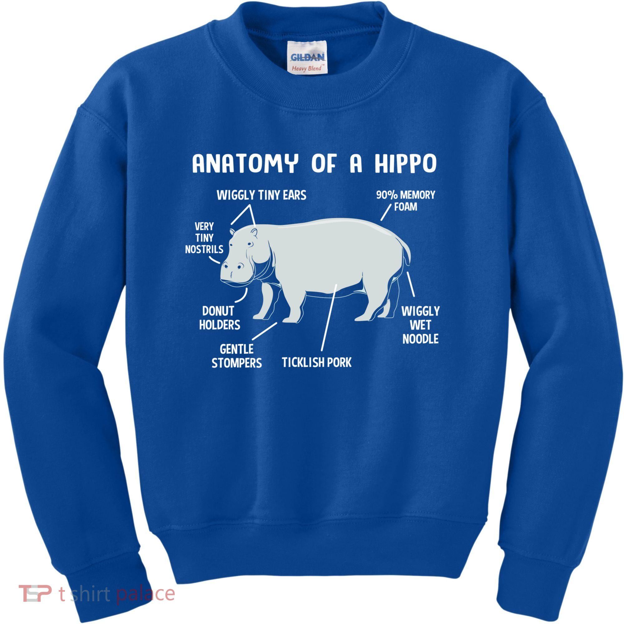 Cute Hippopotamus Anatomy Of A Hippo For Cool Gift Kids Sweatshirt