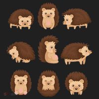 Cute Hedgehog Animal Forest Nature Hedgehog Women's Sweatshirt thumb 2