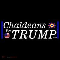 Chaldeans For Trump Toddler Hoodie thumb 2