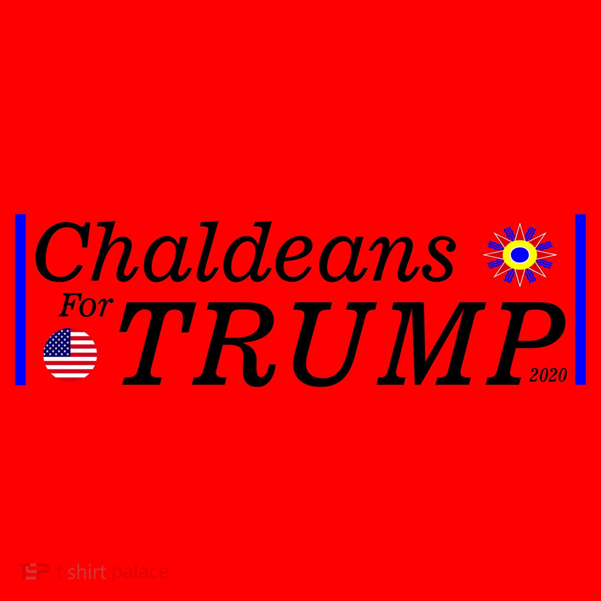 Chaldeans For Trump Santa Hat