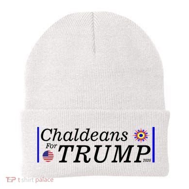 Chaldeans For Trump Beanie