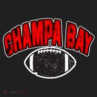 Champa Bay Football Tumbler thumb 3