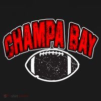 Champa Bay Football Ornament thumb 1