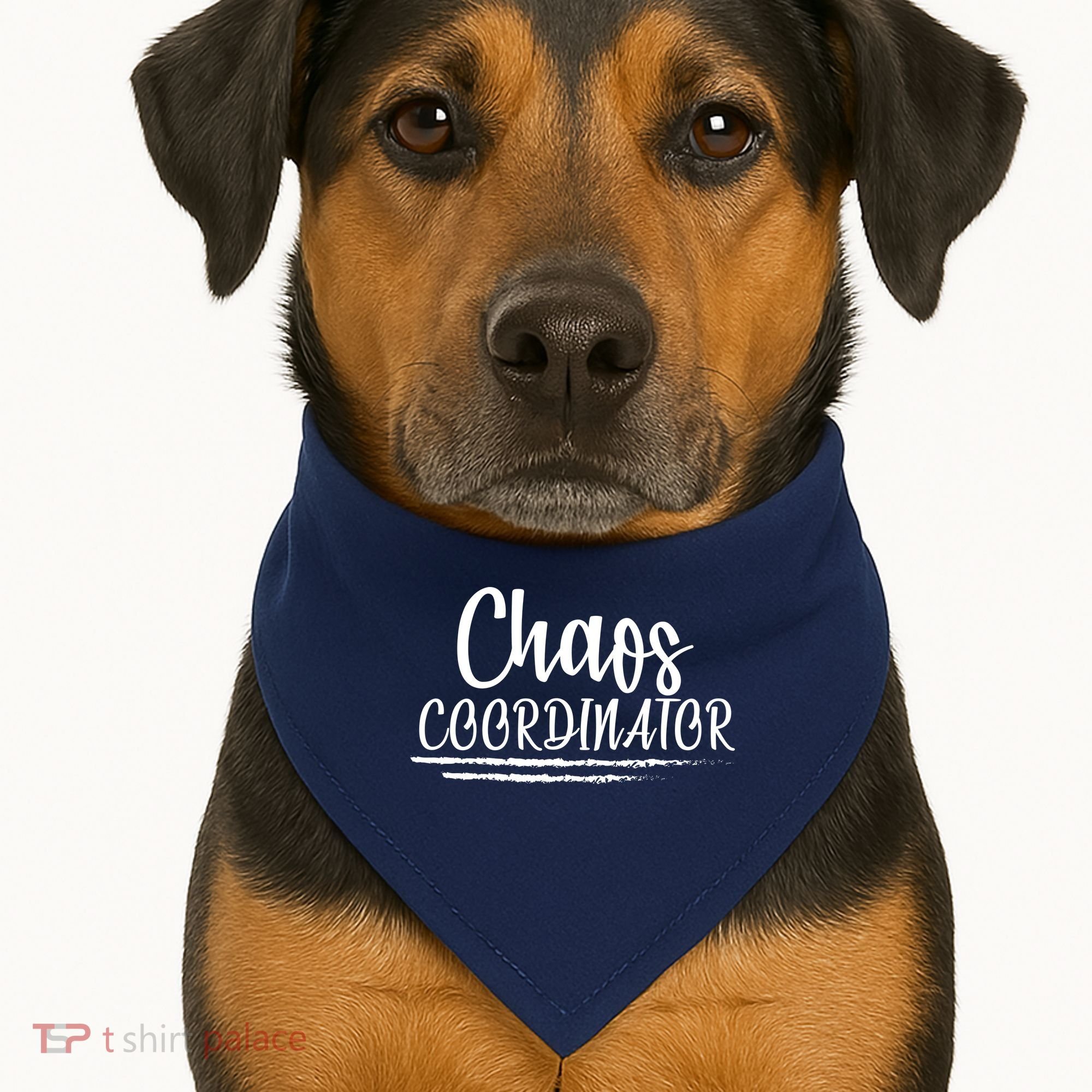 Chaos Coordinator USA-Made Doggie Bandana