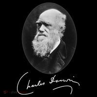 Charles Darwin Portrait Signature Evolution Atheist Science Coaster thumb 2
