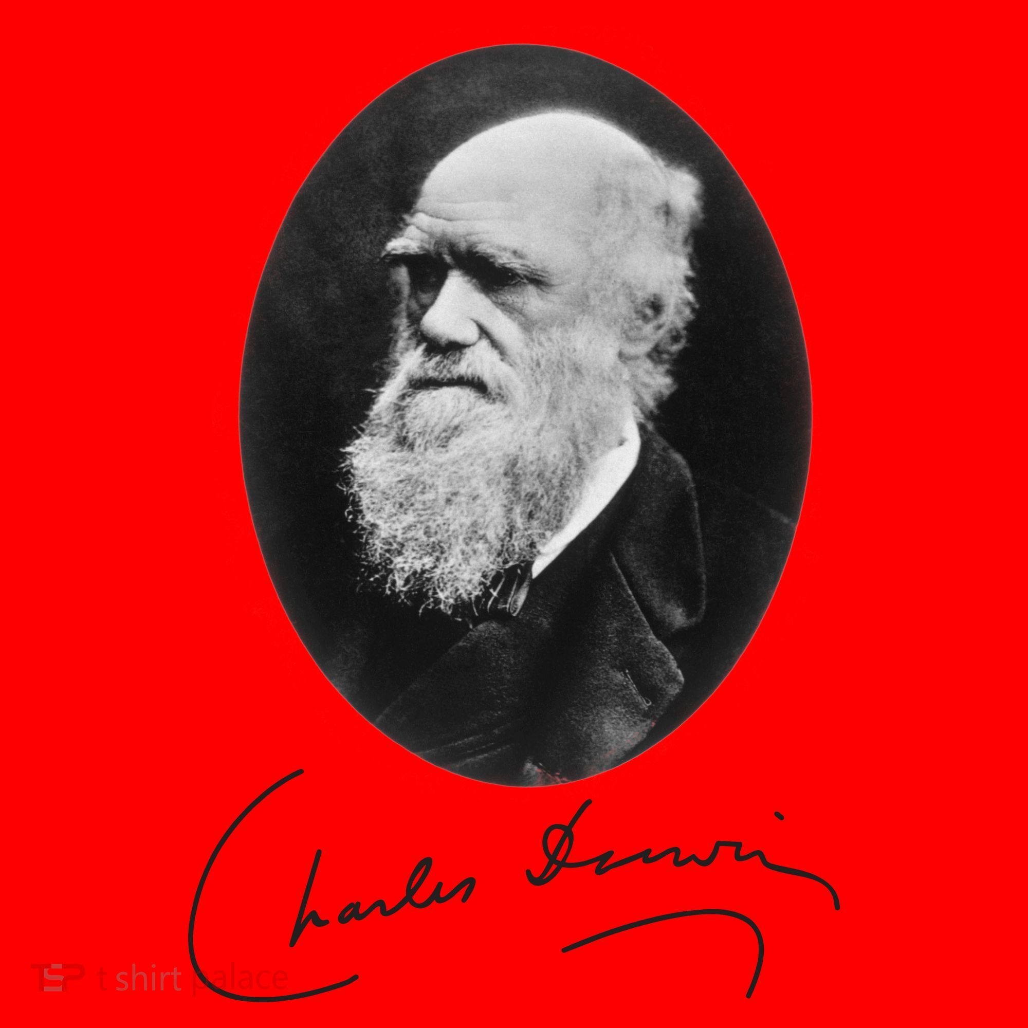 Charles Darwin Portrait Signature Evolution Atheist Science Santa Hat