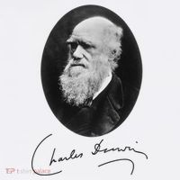 Charles Darwin Portrait Signature Evolution Atheist Science Women's T-Shirt thumb 6