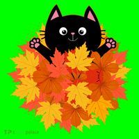 Cute Happy Black Cat Fall Autumn Leaves Button thumb 1