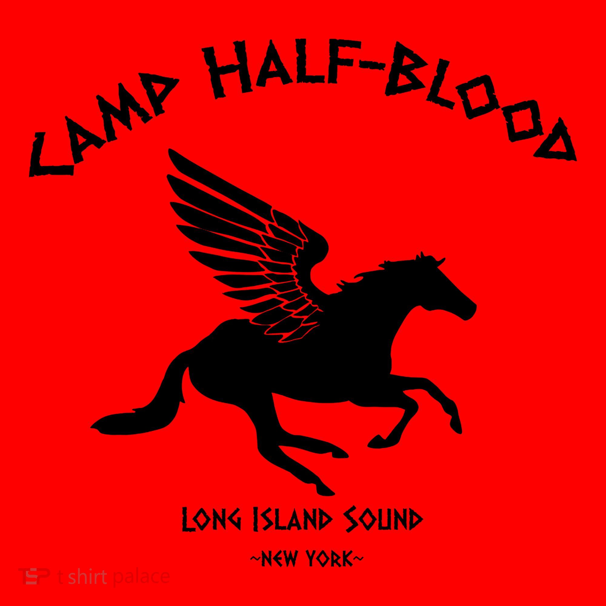 Camp Half Blood Percy Jackson Santa Hat