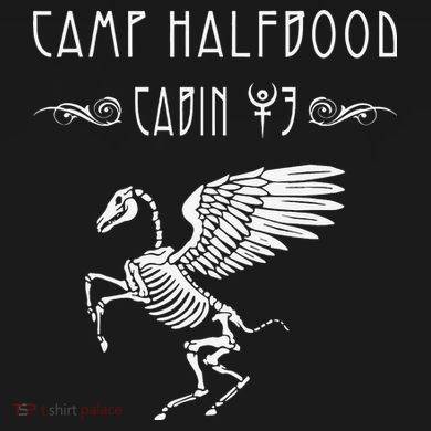 Camp Half blood Cabin Hades Lover Tall Hoodie