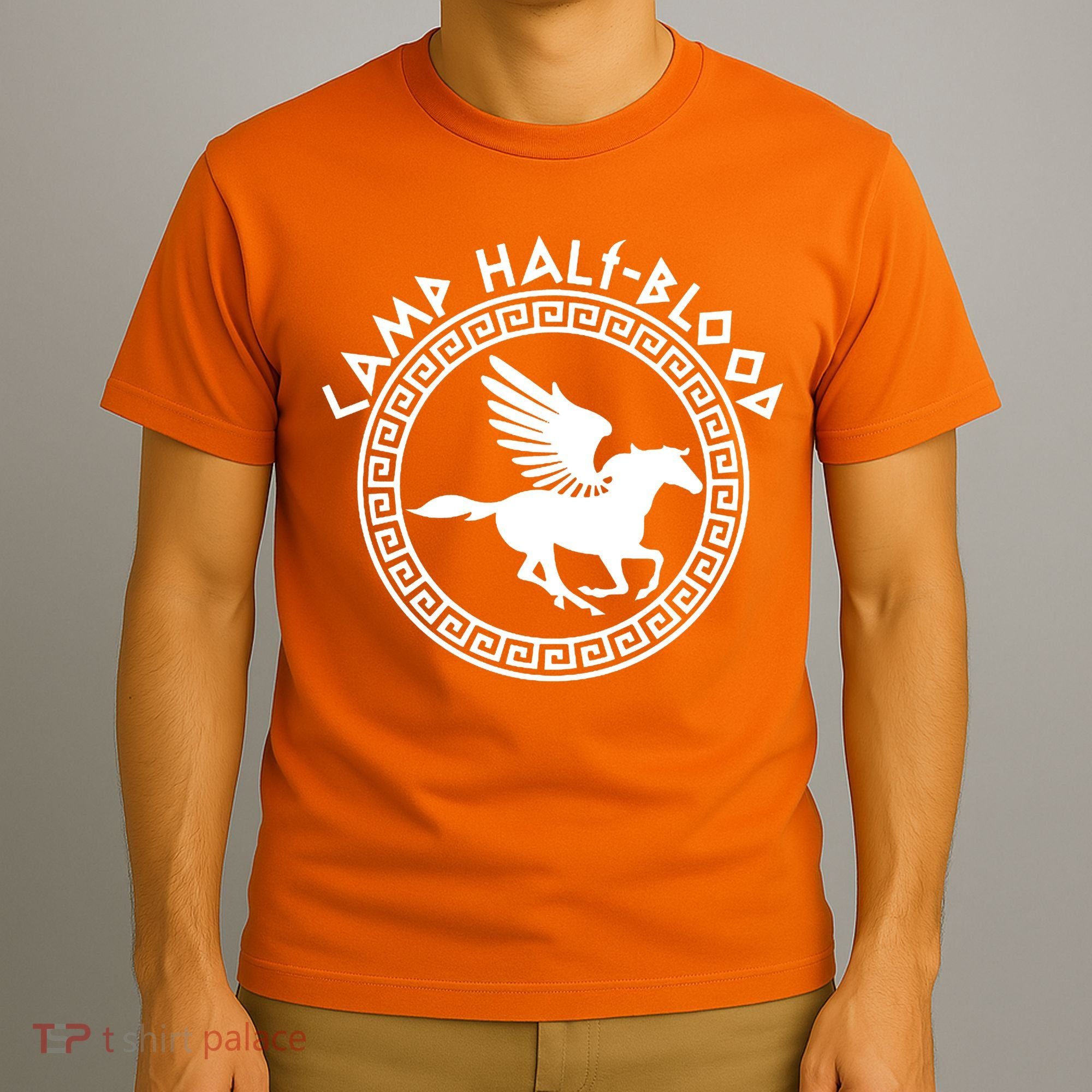 Camp Half Blood Olympian Training Game T-Shirt