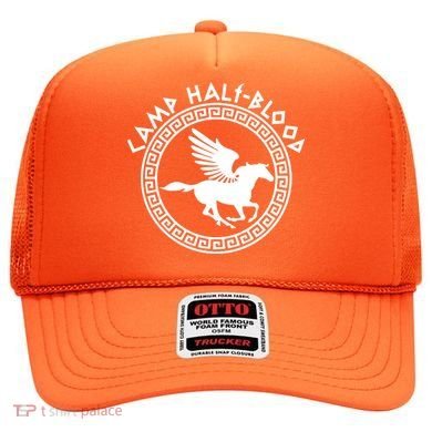 Camp Half Blood Olympian Training Game Hat