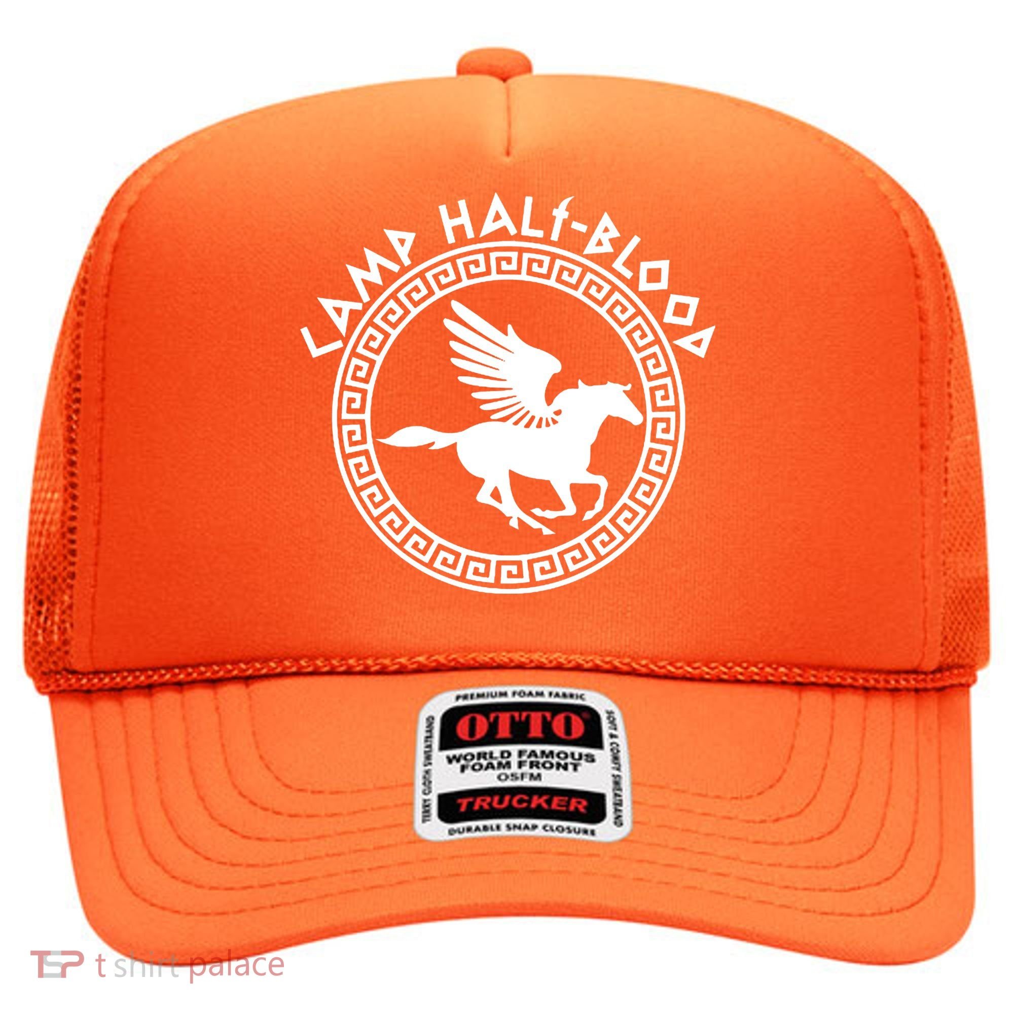 Camp Half Blood Olympian Training Game Hat