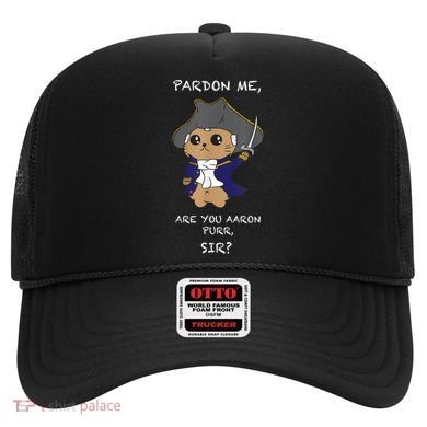 Cute Hamilton Cat Hat