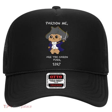 Cute Hamilton Cat Hat