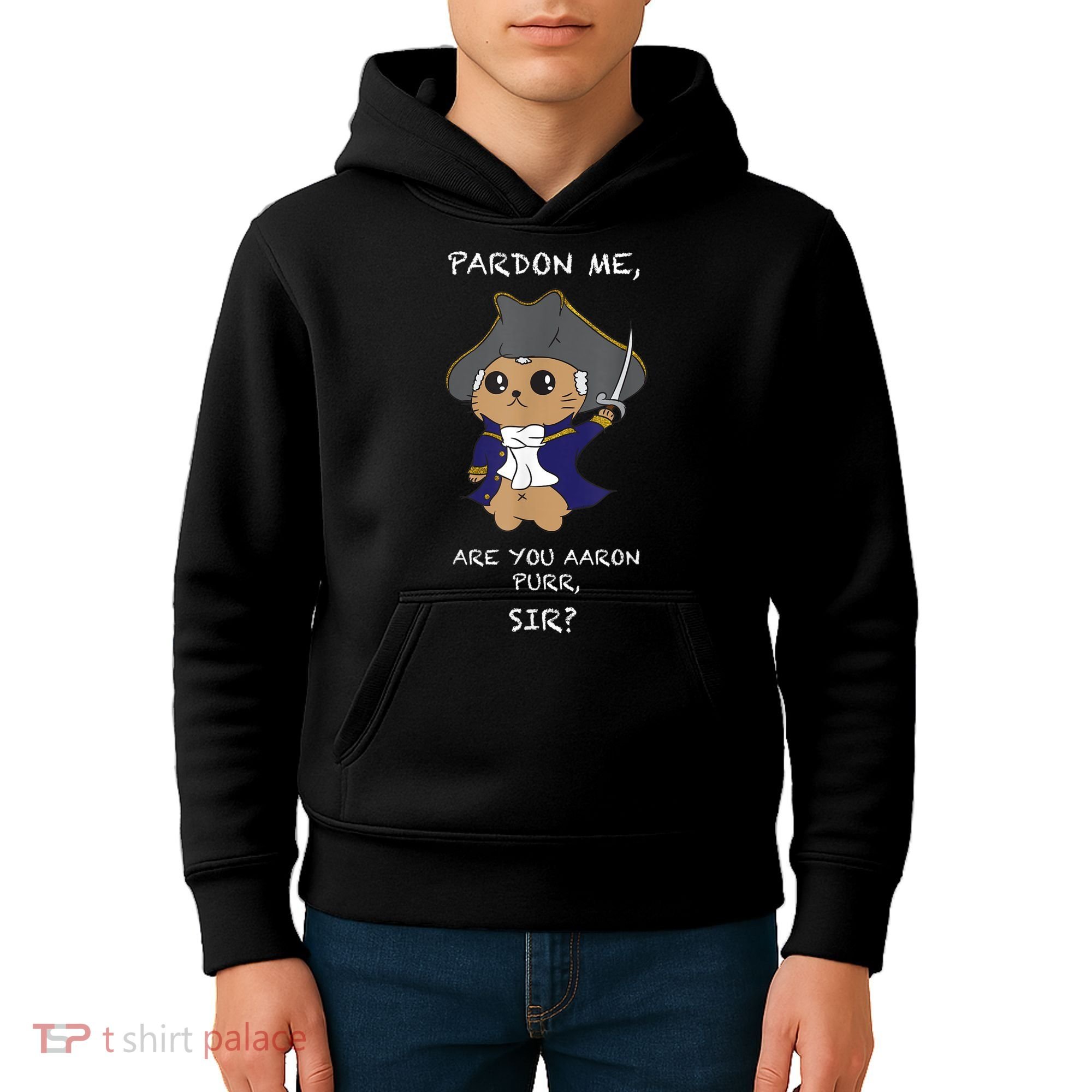 Cute Hamilton Cat Kids Hoodie