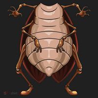Cool Headless Cockroach Funny Lazy Halloween Costume Gift Beanie thumb 2