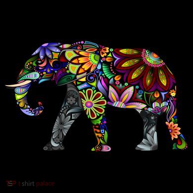 Cheerful Elephant Kids Colorblock Raglan Jersey