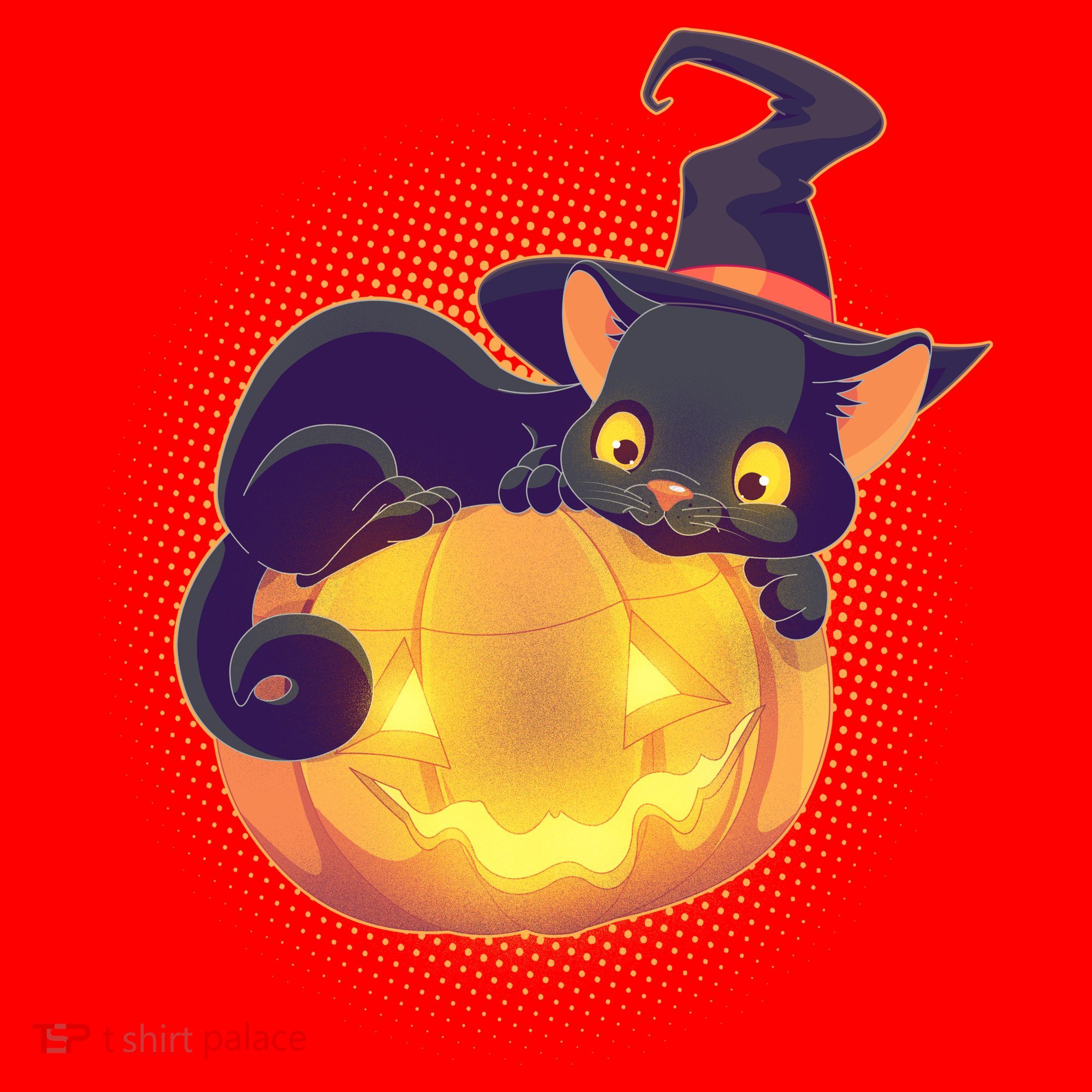 Cute Halloween Glowing Pumpkin Jackolantern Witch Cat Santa Hat