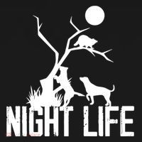 Coon Hound Hunting Night Life Hunting Dog Coon Hunting Funny Gift Ornament thumb 1
