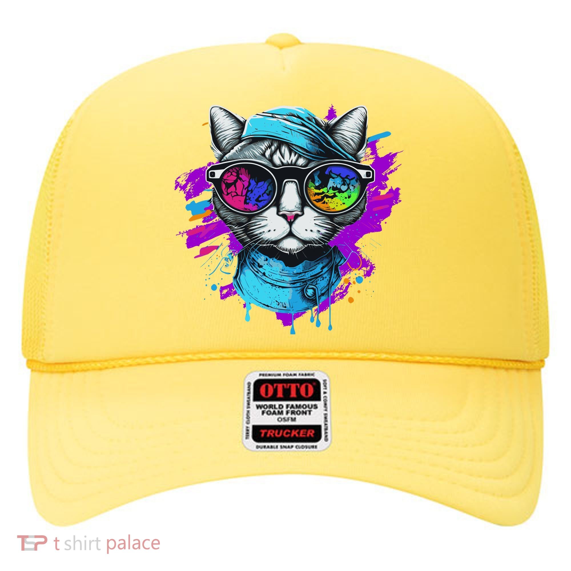 Cool Hipster Hip Cat With Shades Scarf And Hat Hat