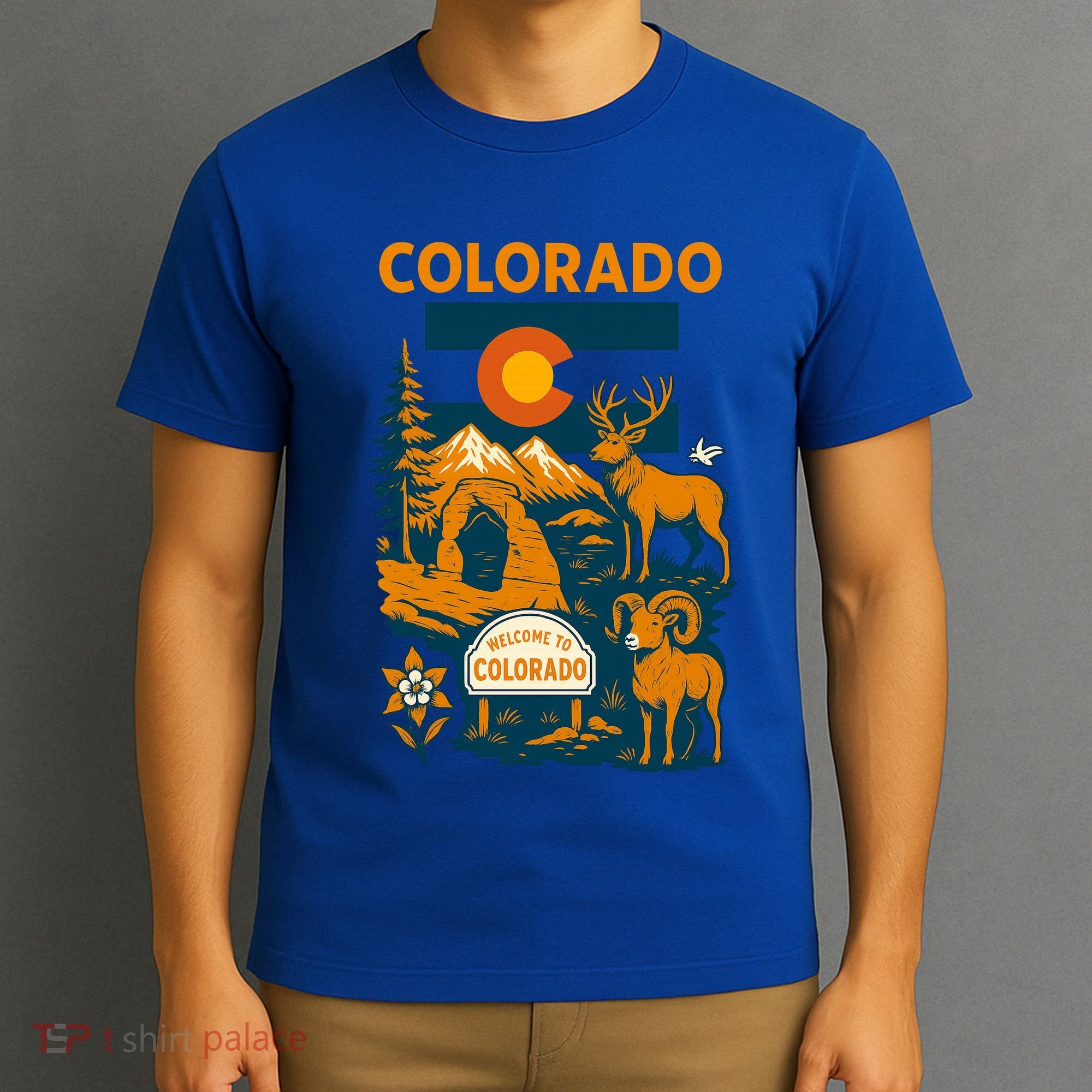 Connecticut Heritage Icons T-Shirt