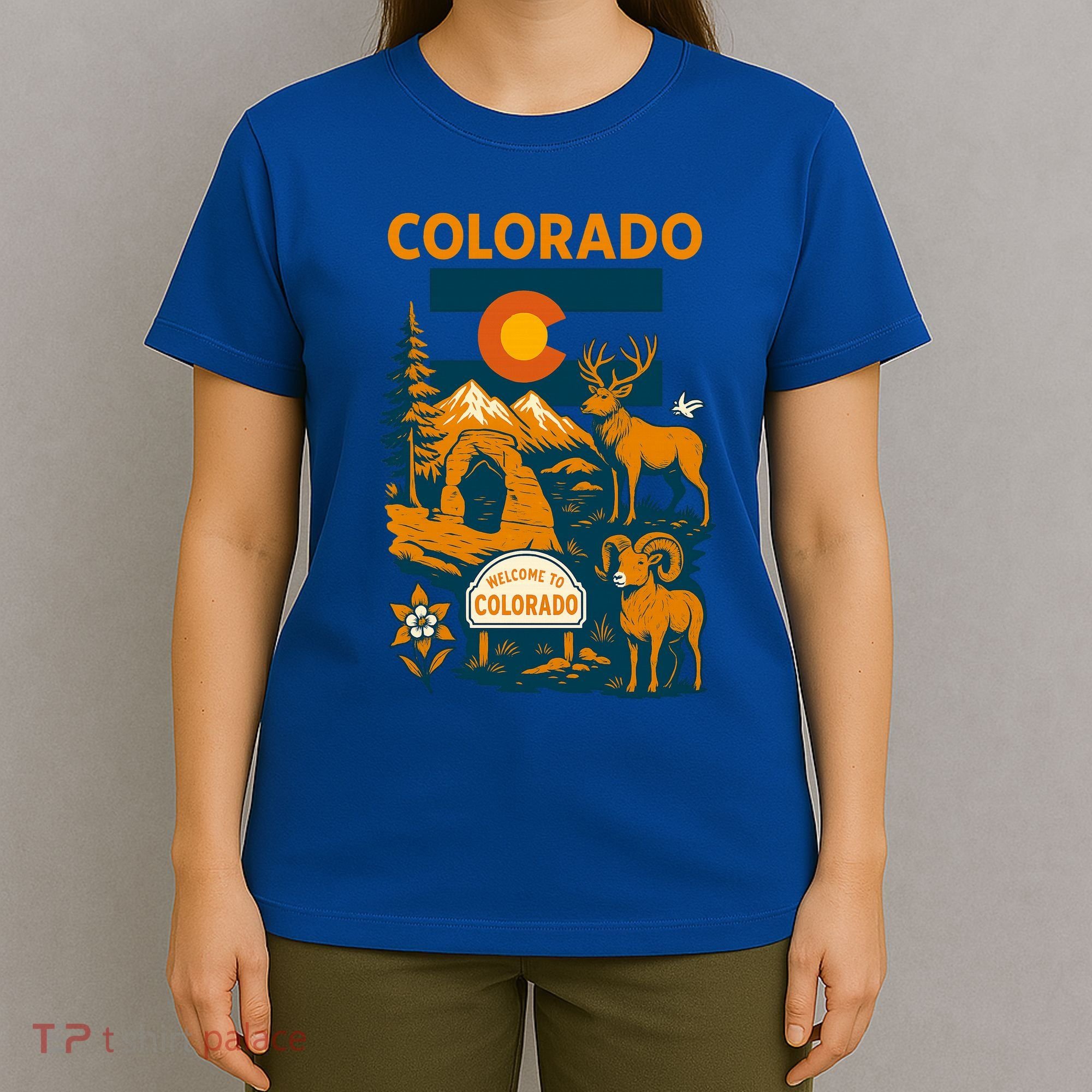 Connecticut Heritage Icons T-Shirt