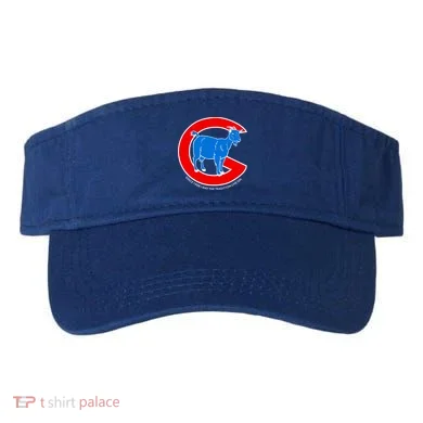 Visor