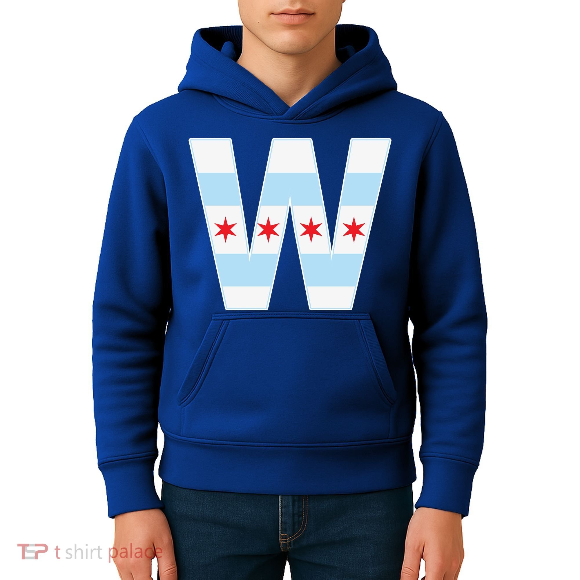 Chicago City Flag W Kids Hoodie
