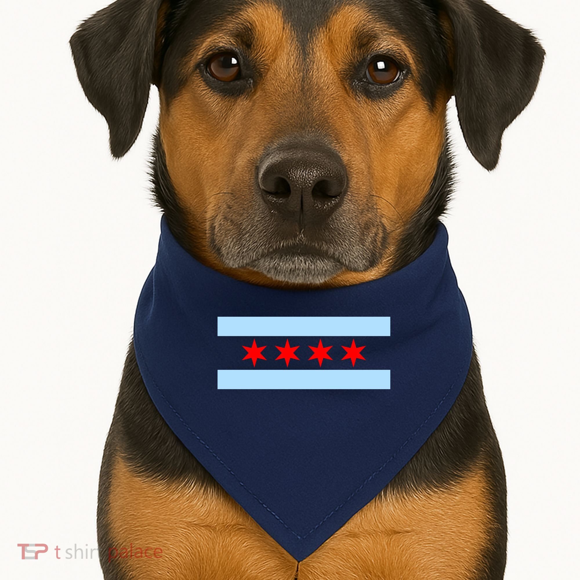 Chicago Flag USA-Made Doggie Bandana