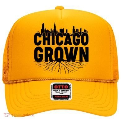 Chicago Grown Skyline Roots Hat
