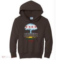 Chicago Grown With Lithuanian Roots Kids Hoodie thumb 0
