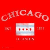 Chicago Illinois Est 1833 Hoodie thumb 7