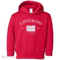 Chicago Illinois Est 1833 Toddler Hoodie thumb 0
