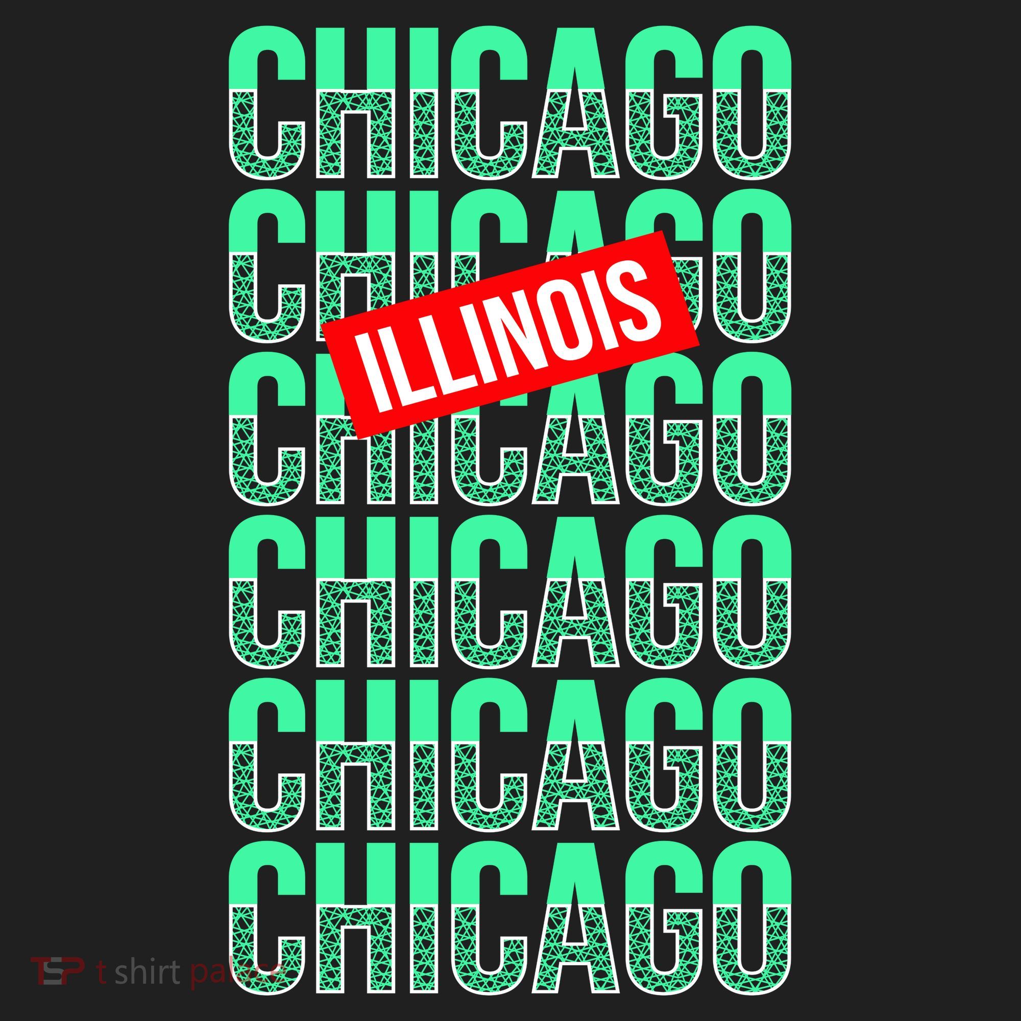 Chicago Illinois Typography Hat